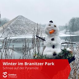 Winter im Branitzer Park