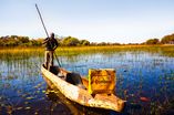  
		Bootsfahrt mit einem landestypischen Einbaum auf dem Chobe Fluss in Botswana,  Torsten Arnold,
		