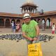Freitagsmoschee voller heiliger Tauben in Delhi