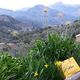 Wanderpause mit traumhaften Blick über mallorquinisches Gebirge