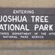 USA, Kalifornien, Joshua-Tree-National-Park
