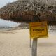Cottbus - gut behütet am leeren Strand von Palma