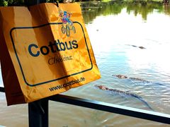 Die Kreisfreiheit von Cottbus steht auf der Kippe (Foto: Sylvia Wähling).