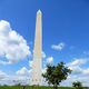 Blick auf das Washigton Monument, der 170 m hohe Obelisk aus Marmor ist in der ganzen Stadt sichtbar.. Das Bauwerk wurde 1884 vollendet