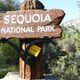 USA, Kalifornien, Sequoia-National-Park