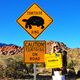 Vorsicht Schildkroeten - Red Rock Canyon - Las Vegas - Maerz 2014