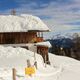 Winterzeit im Ahrntal - Südtirol