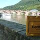 Cottbus grüßt die Universitätsstadt Heidelberg (1)